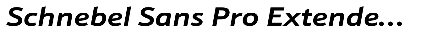 Schnebel Sans Pro Extended Bold Italic